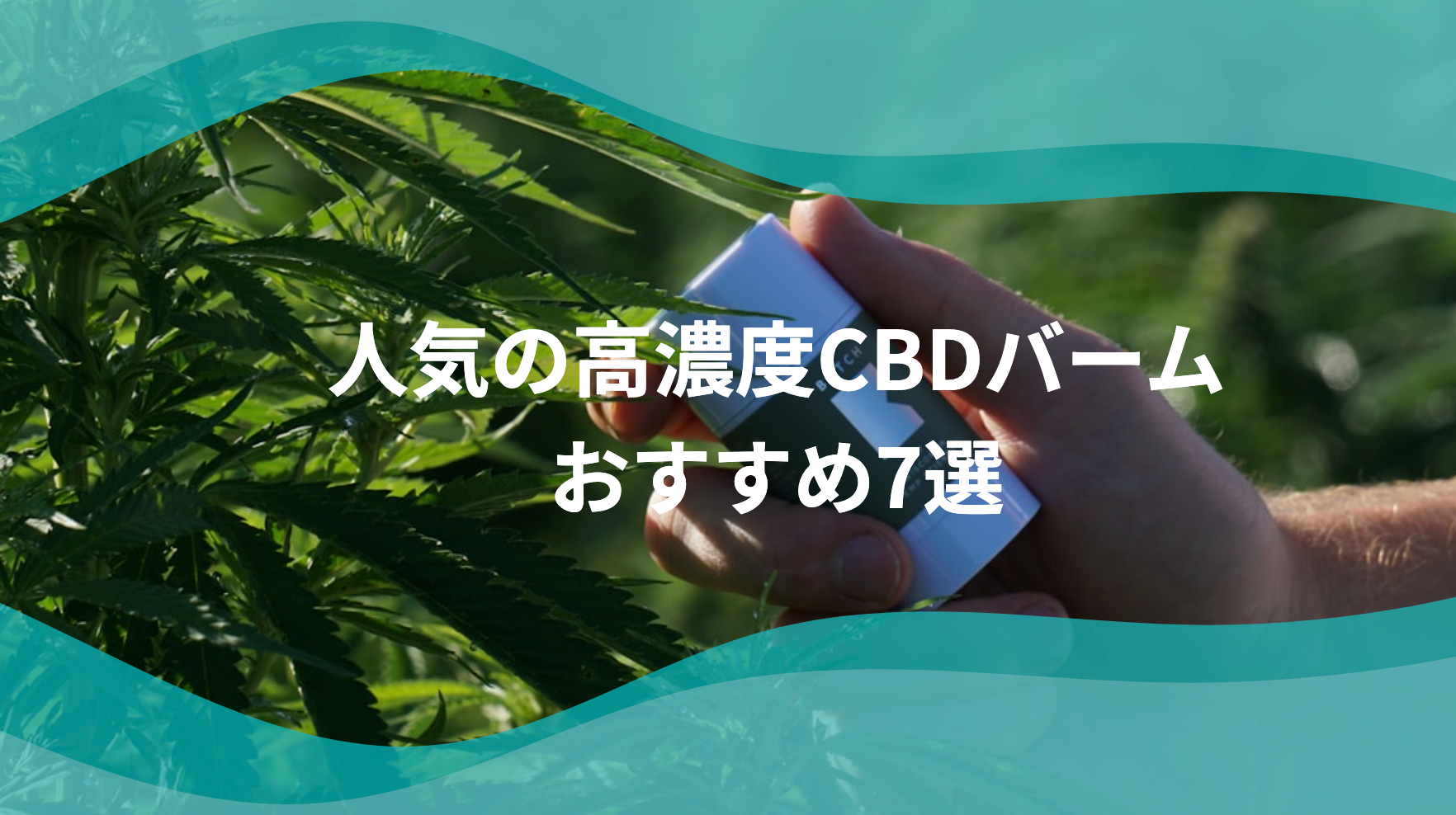 2024-12-26_11.30.49.png?v=