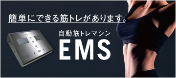 筋トレ・ダイエット | 妙蓮寺整骨院