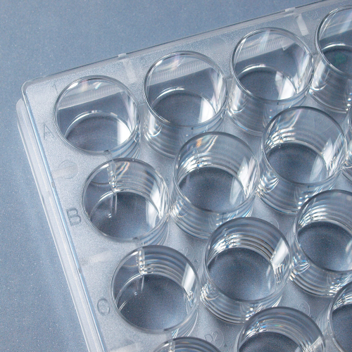 SPL セルカルチャープレート 24ウェル / Surface Treatment＋（個別