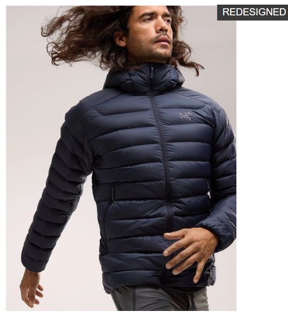 国内正規品】Arc'teryx アークテリクス セリウム フーディ メンズ