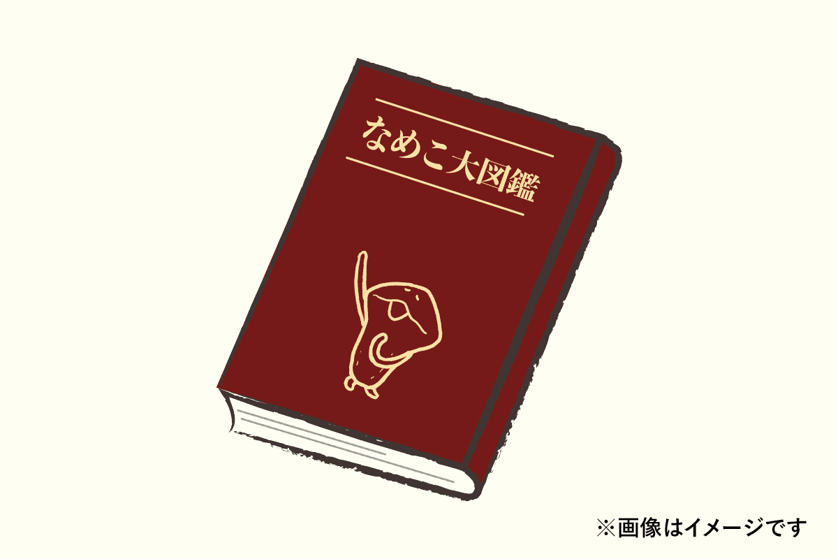 クラウドファンディング 「なめこ栽培キット なめこ大図鑑刊行