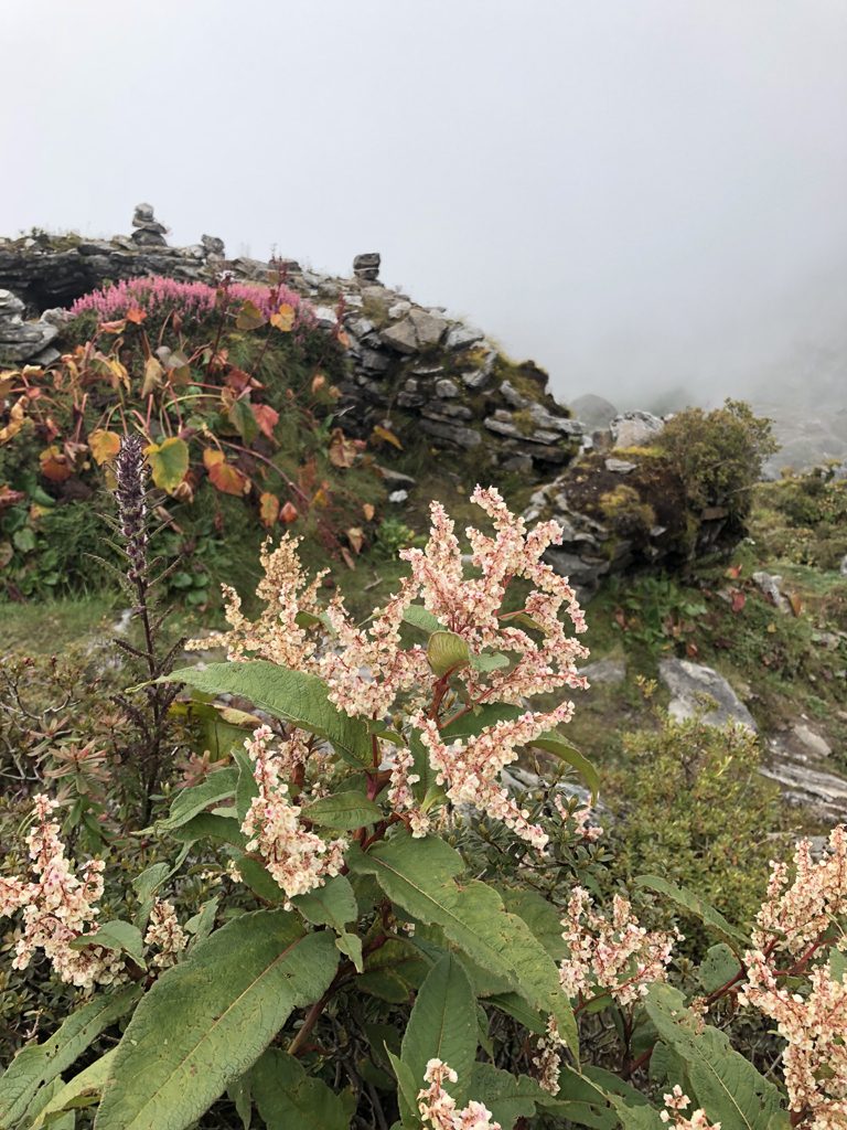 未来への発想法』 政木和三 東洋経済新報社 | 出張専門 東京自律神経整体