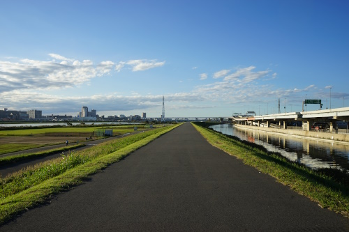 荒川土手: 雅万歩