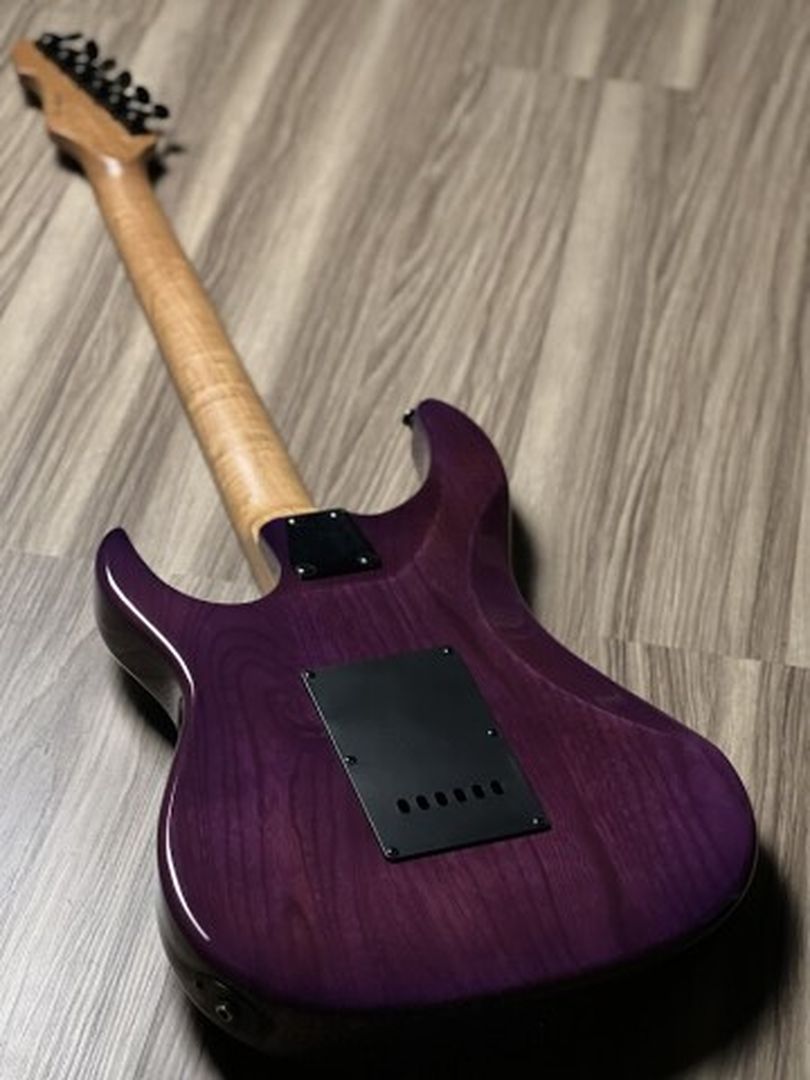 Grass Roots G Snapper 24/M AS in See Thru Deep Purple