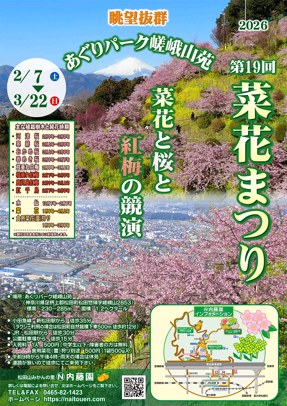 今年の菜花まつりの日程を掲載しました | 内藤園－松田山みかんの里