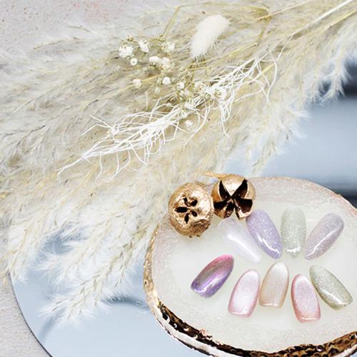 M・GEL マグネットネイル 5g Z519 / NESオンラインショップ