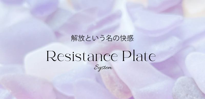 □RESISTANCE PLATE(レジスタンスプレート)商品一覧 / NESオンライン