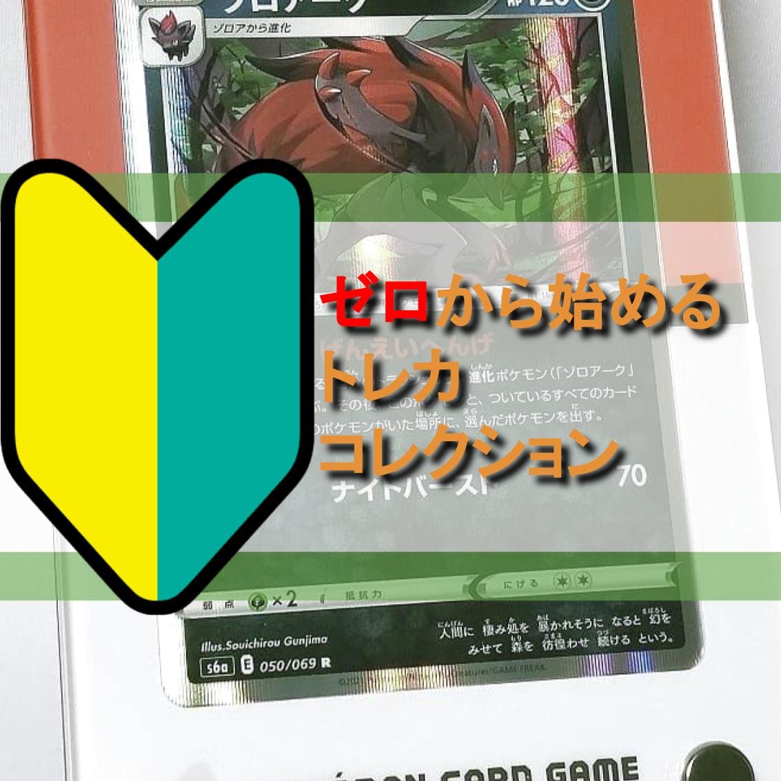 コレクター向け】ゼロから始めるトレカコレクション【ポケカ