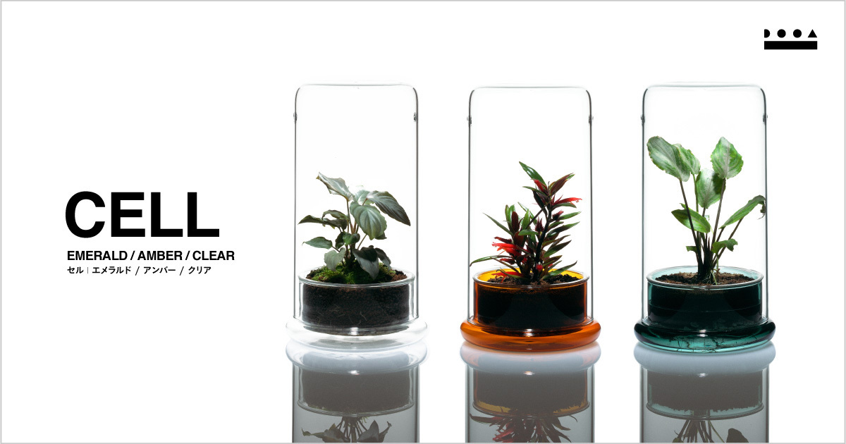 ADA 植物を楽しむガラスポット DOOA「CELL」入荷しました。 - What's