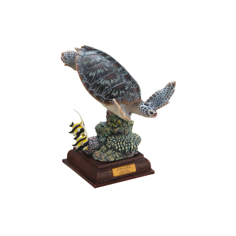 NTC 小笠原 特装版 – ネイチャーテクニカラー公式