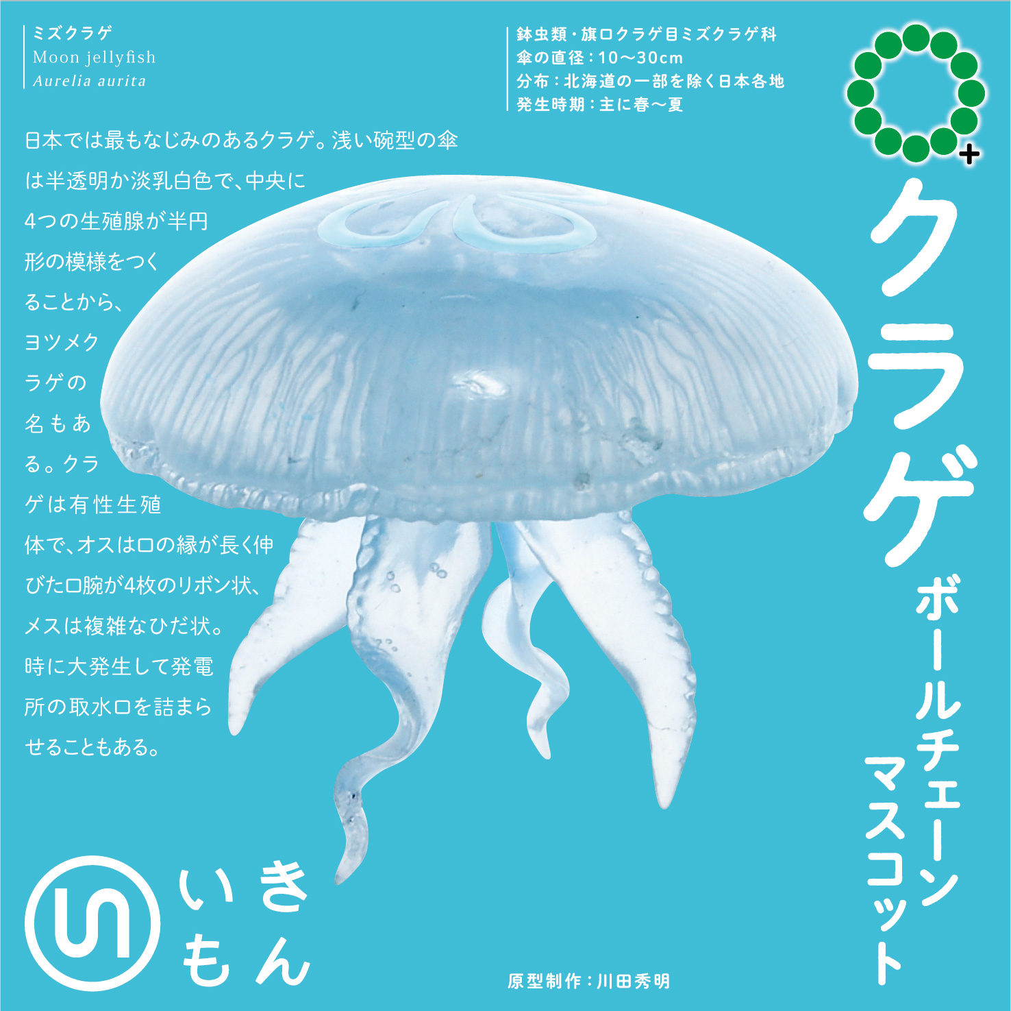 クラゲ ボールチェーンマスコット – ネイチャーテクニカラー公式