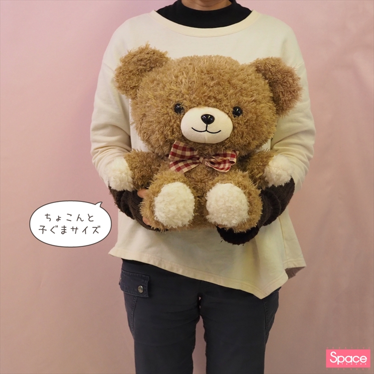 スペース田中限定！くまちゃん | フジグランナタリー