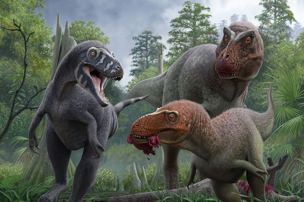 ナノティラヌスは幼いTレックスではなかった、さらなる証拠