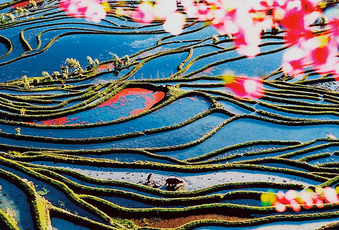 色鮮やかな棚田 | ナショナル ジオグラフィック日本版サイト