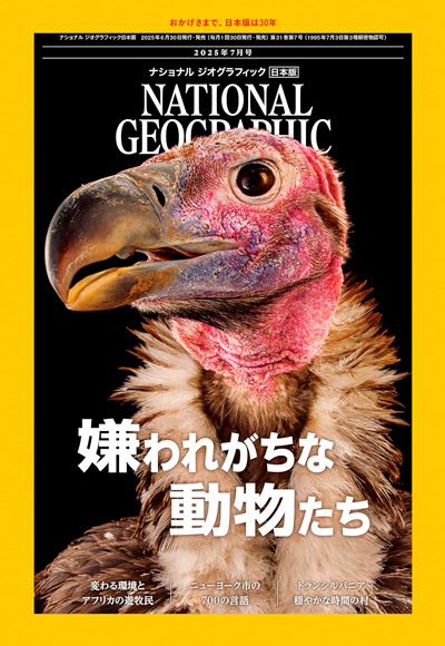 オオカミ | ナショナル ジオグラフィック日本版サイト