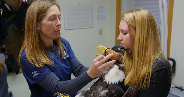 獣医ミシェルの日常 5｜番組紹介｜ナショナル ジオグラフィック (TV)