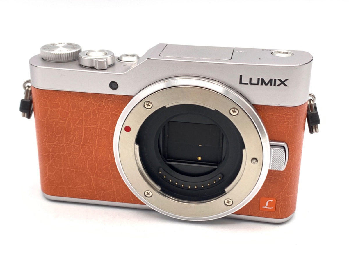 価格.com - パナソニック LUMIX DMC-GF2 ボディ 純正オプション
