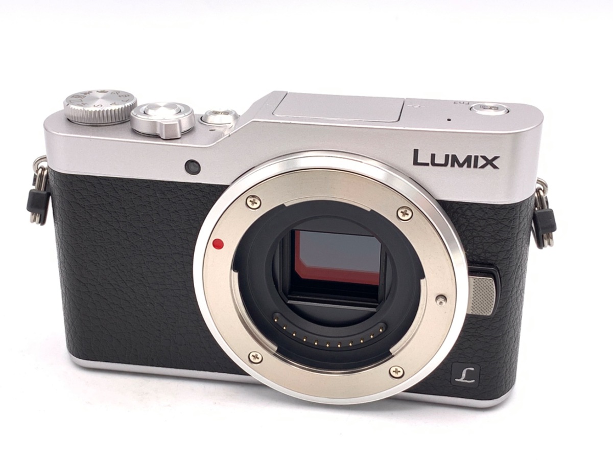 価格.com - パナソニック LUMIX DMC-GF1K レンズキット 純正オプション