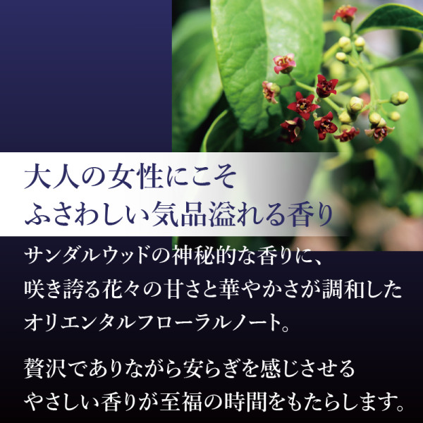 2/5まで】ロズマリスト（ミニサイズプレゼント） | ナガセビューティ