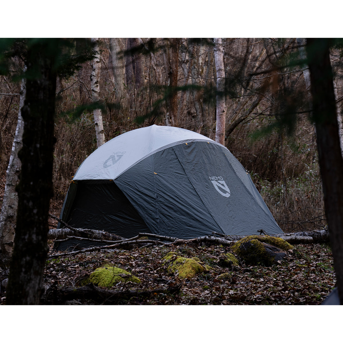 Aurora Highrise™ 4P – NEMO Equipment Japan