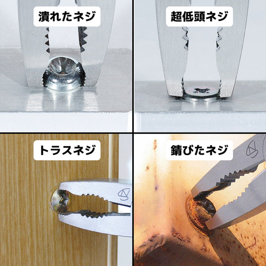 PZ-58MM ミャクミャクザウルス – エンジニア公式オンラインストア