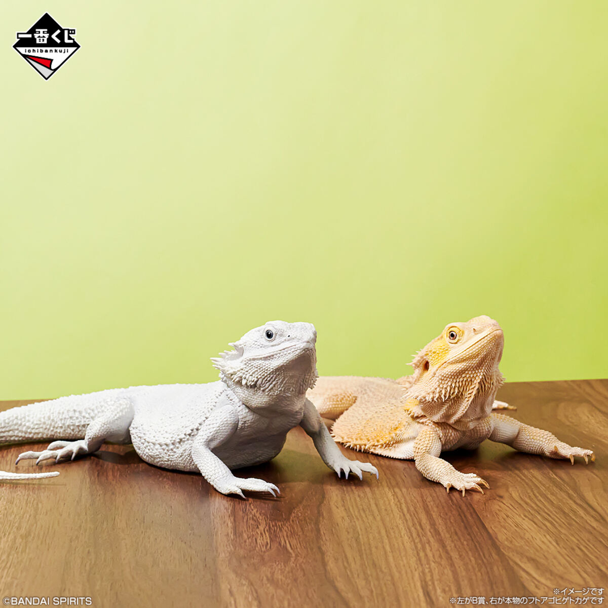 ローソン】超リアルな「爬虫類&両生類」だらけの一番くじ登場 - ラスト