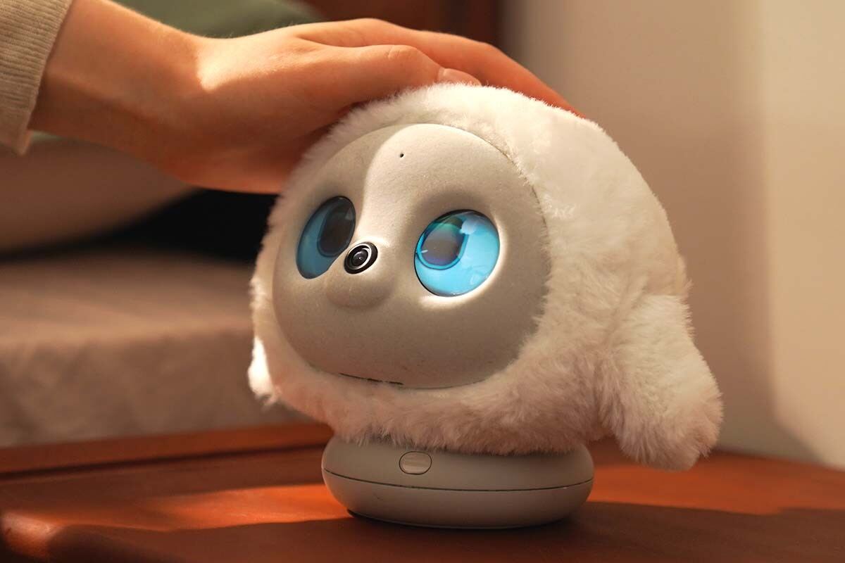 ゲームキャラみたいに丸くかわいいAIペット「lopeto」、Makuakeに登場