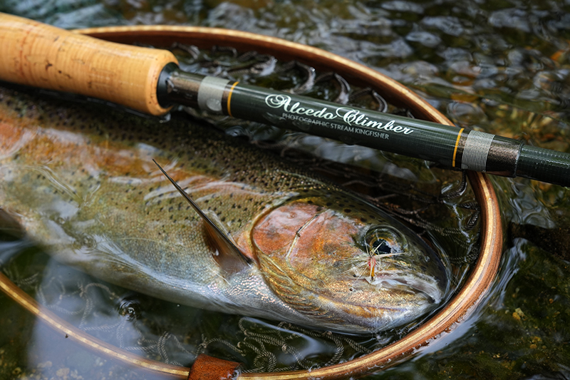 テンカラシンプリー・スターターキット｜ニュース（総合ブログ