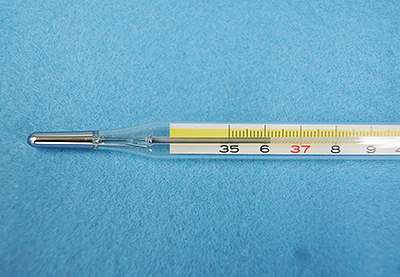 昔の道具「水銀体温計」（すいぎんたいおんけい） | 常陽小学生新聞