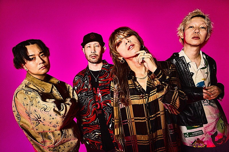 SUPER BEAVER、ZOZOマリンスタジアム公演のライブ音源を配信リリース