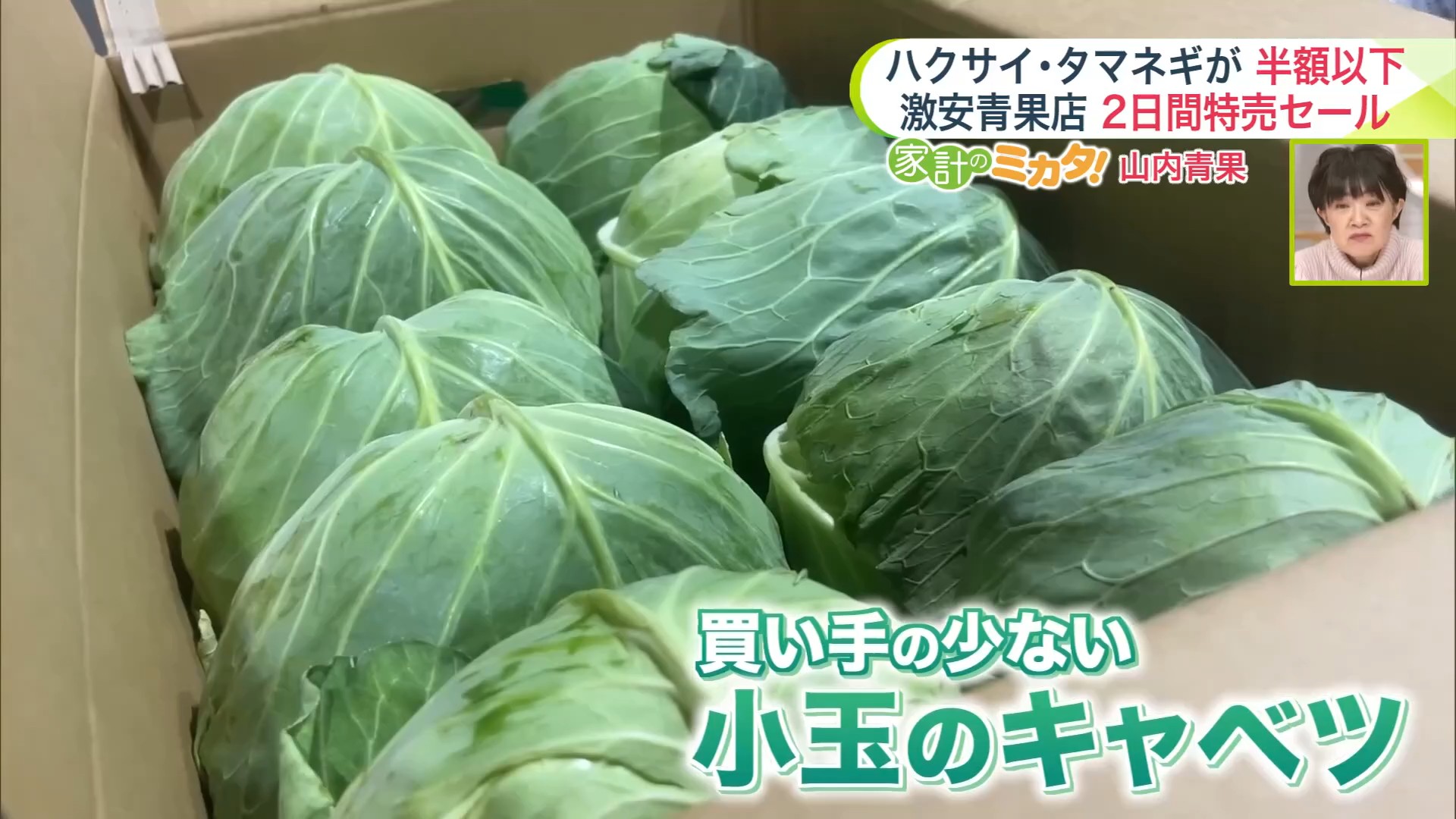 物価高の救世主】キャベツ・ハクサイ・長ネギが半額以下！？驚愕！札幌