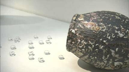 ガラス作家と陶芸家「小孫哲太郎・戸田晶子二人展」 合作も含め約100点