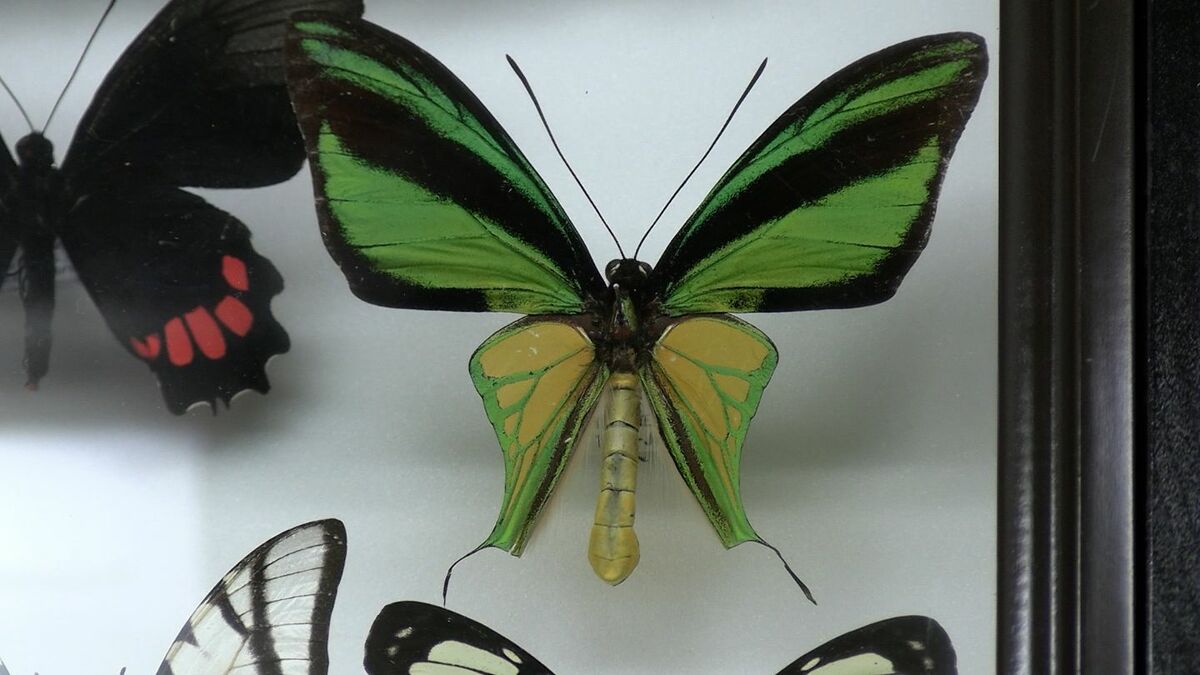 img_010e7ebbbbe3e3d0b26d6c566c