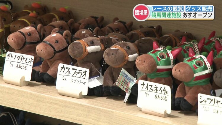 img_3805650d434dd2c7b674e93cf9