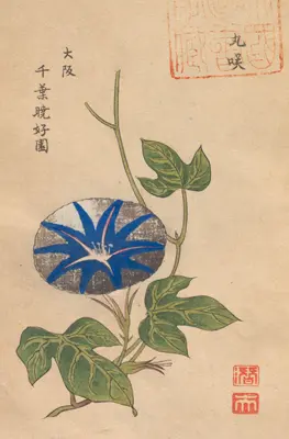 朝顔図説 | NDLイメージバンク | 電子展示会