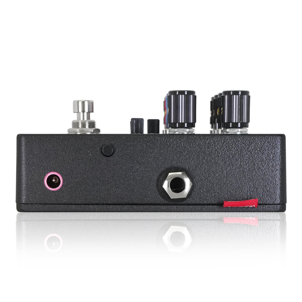 BECOS - CompIQ TWAIN Pro MK2 with DITOS | コンプレッサー ギター