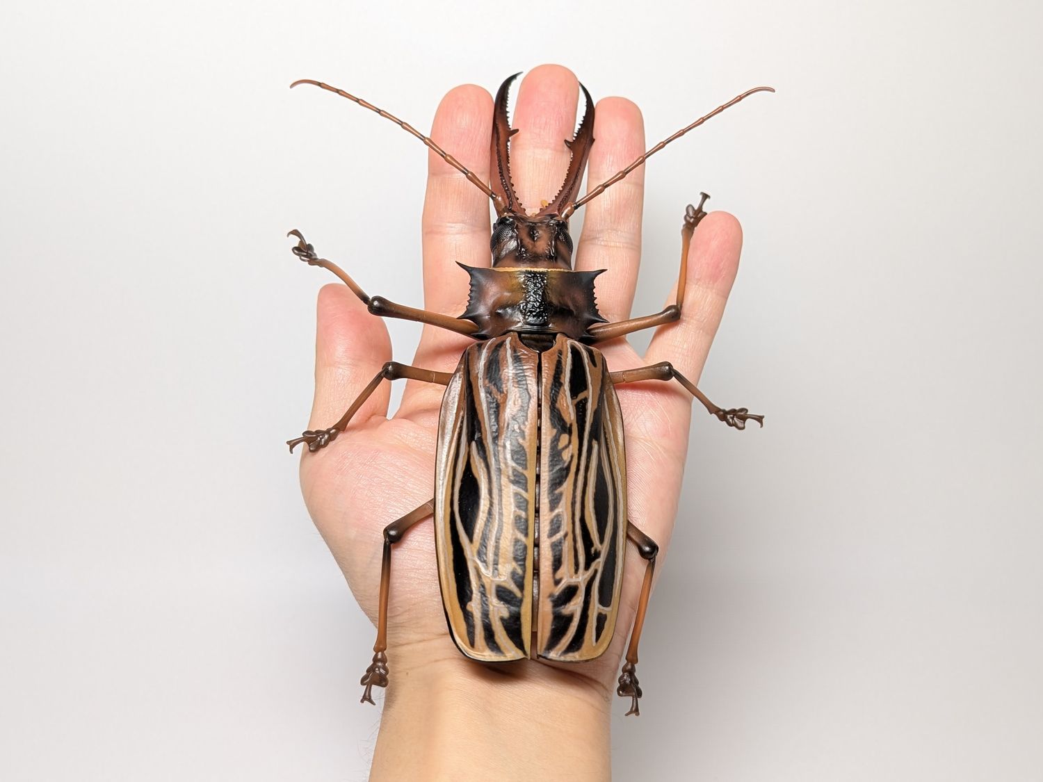 バンダイ いきもの大図鑑アドバンス オオキバウスバカミキリとハンミョウ