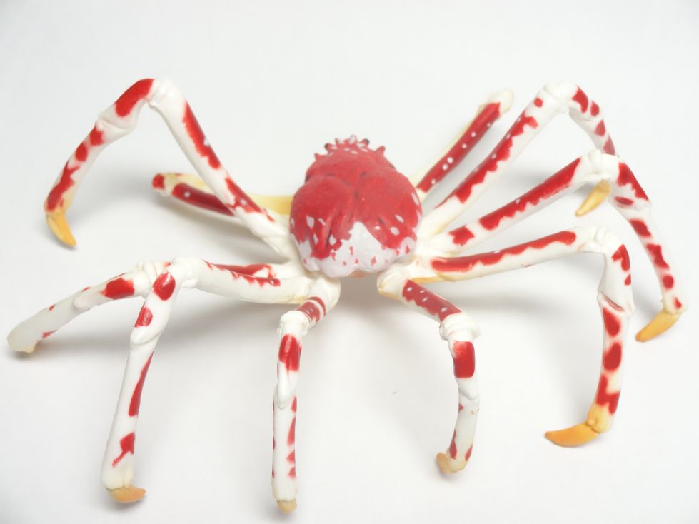 生命地球紀行蟹・海老。