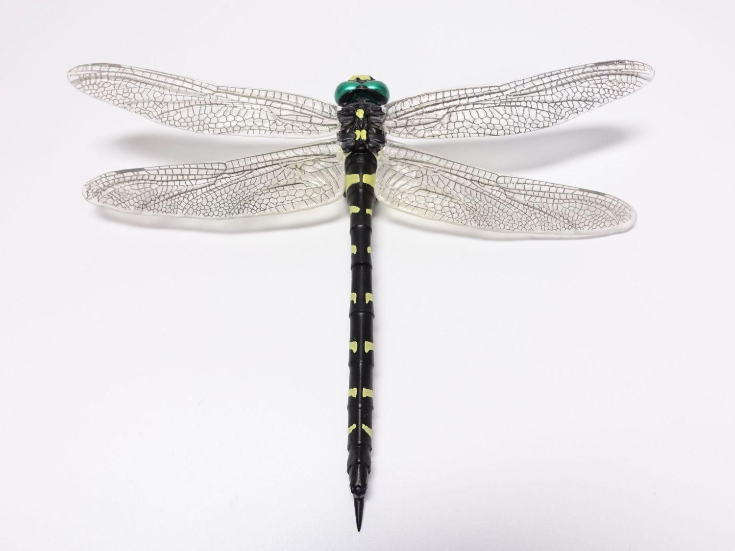 原色図鑑シリーズ 日本のトンボ