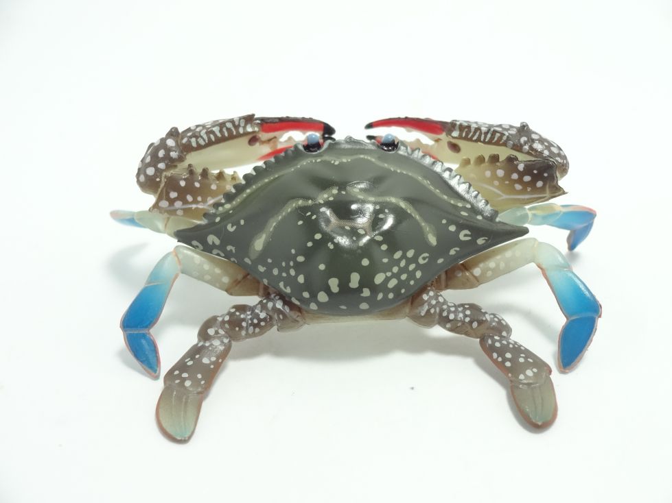 原色甲殻類エビ・カニ図鑑