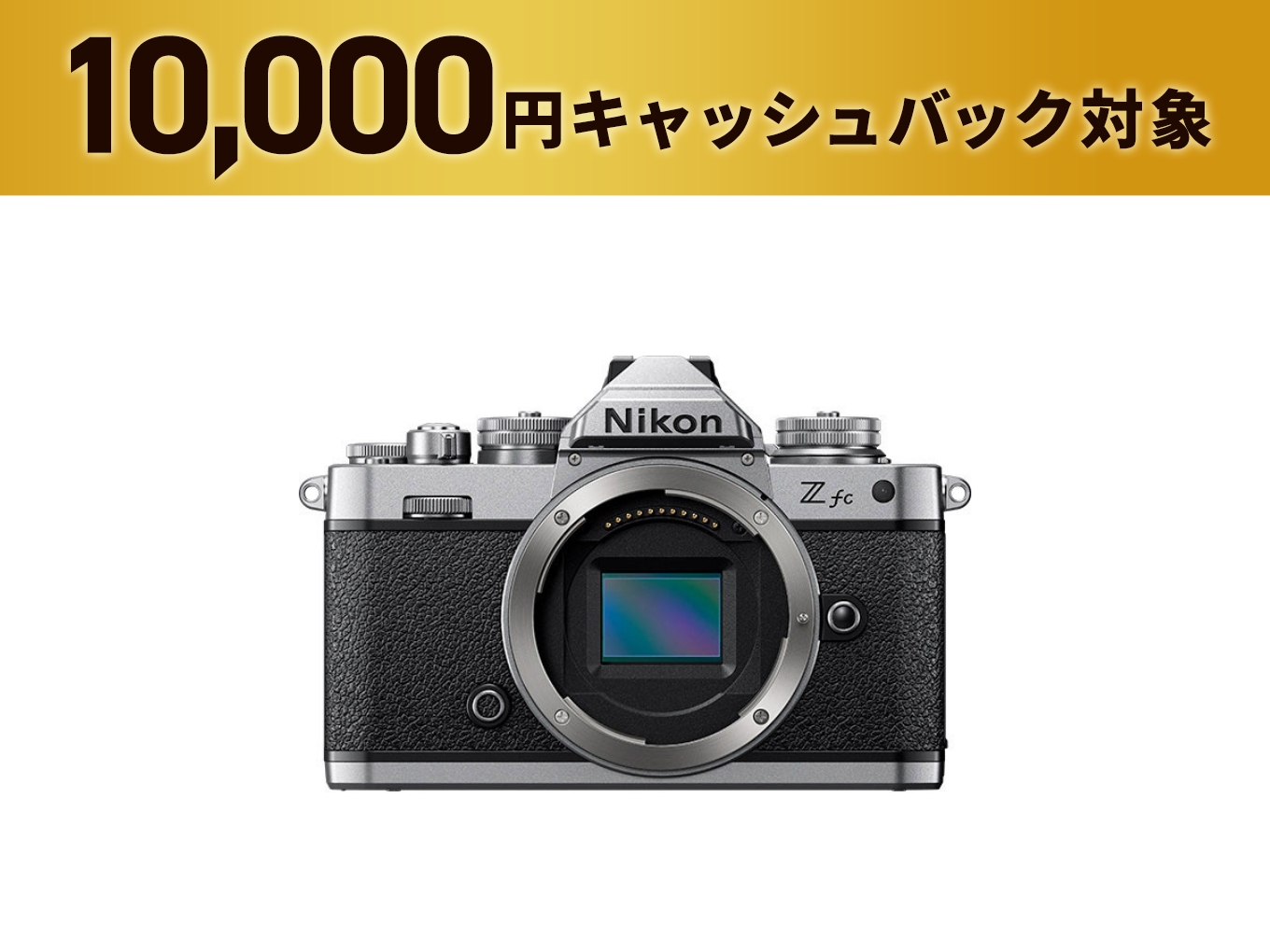 Zfc 16-50 VR レンズキット - 公式通販 | ミラーレスカメラ