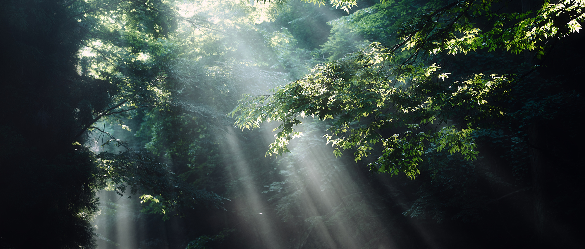 yukkey Takayuki Yoshikawa×NIKKOR Z 24-70mm f/2.8 S II | NIKKOR Z