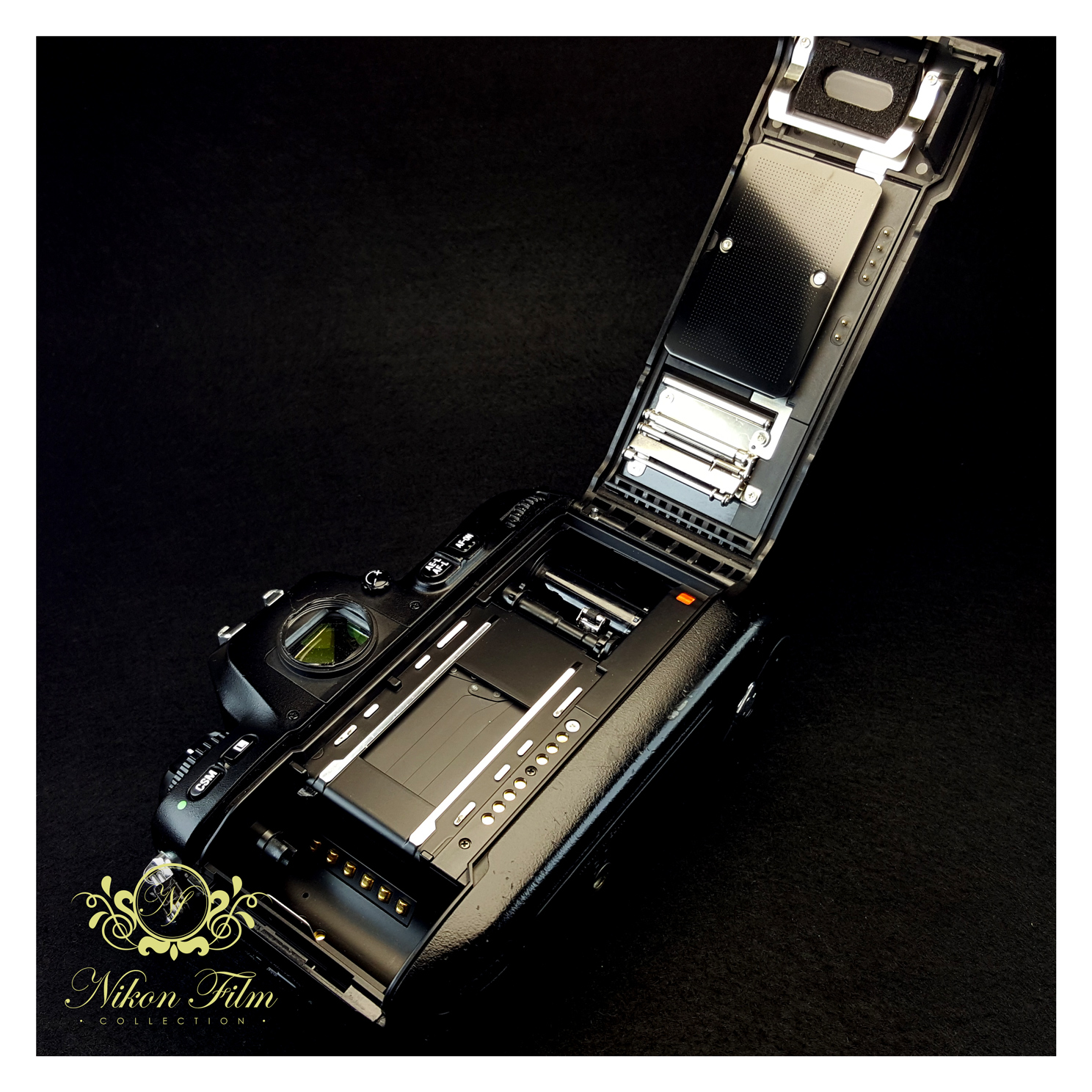 Nikon F100 - NIKON-FILM