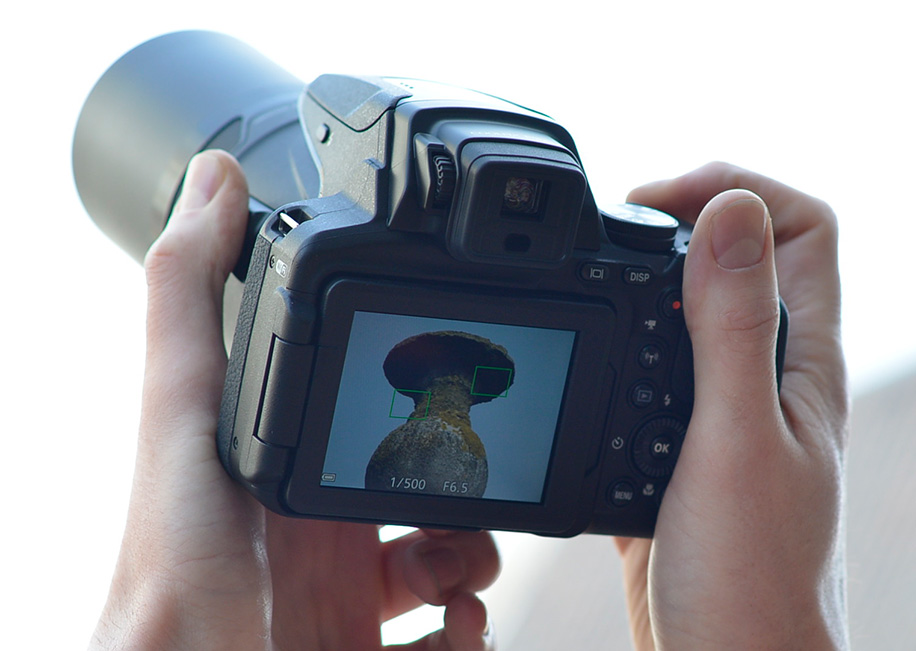 This is what the Nikon Coolpix P900 camera's 83x zoom at 2000mm