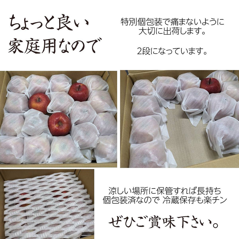 りんご 【帯刀りんご農園】 サンフジ 10kg 32～40個 ちょっぴり良い