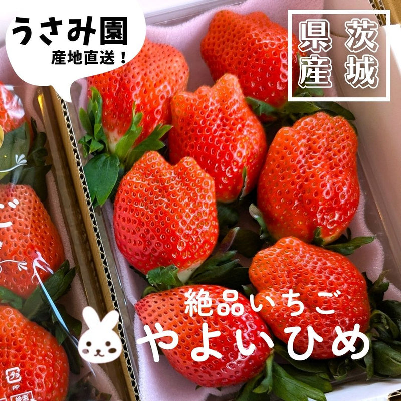 いちご 【うさみ園】 やよいひめ (7～9個)400g×2トレイ 800g ステビア