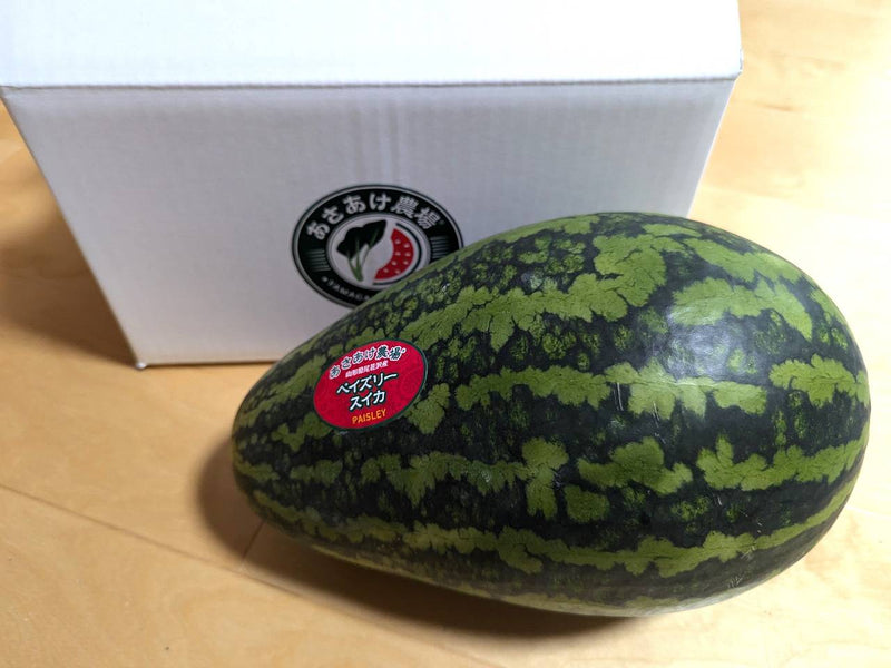 スイカ 【あさあけ農場】ペイズリースイカ 1玉 5〜6kg 山形県 尾花沢