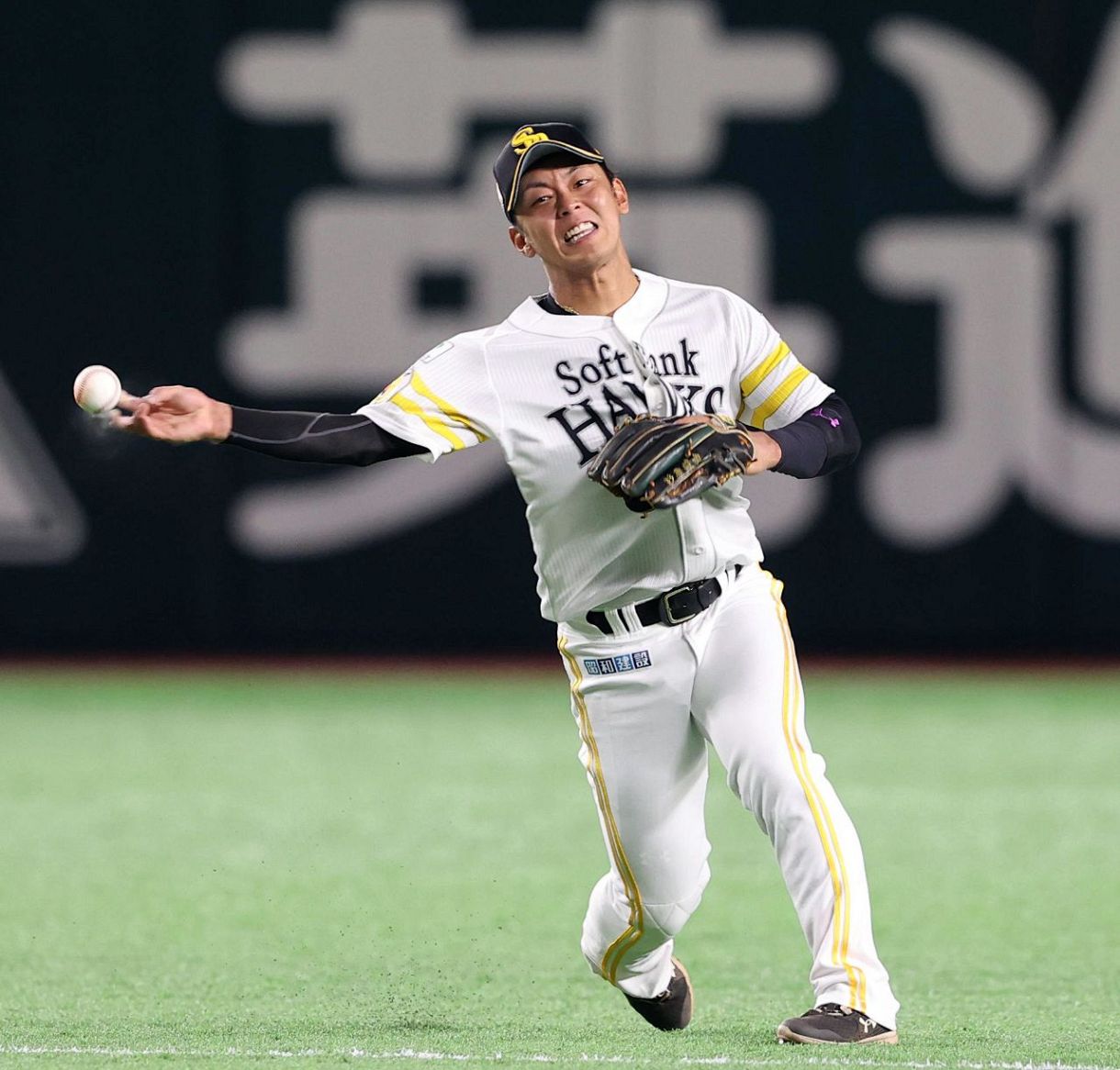 セラミックパワーギア 2本セット アームスリーブ 楽天市場】セラミック