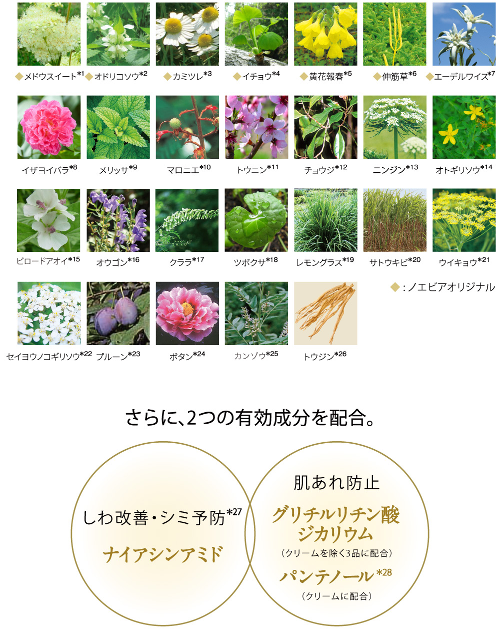 公式】ノエビア505｜エイジングケア｜ノエビアスタイル（通販）