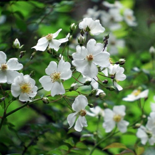 000000023865-01.jpg?size=l&w=